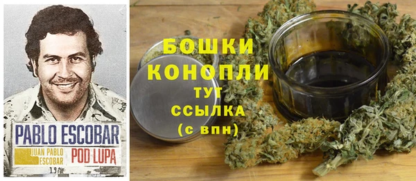 apvp Протвино