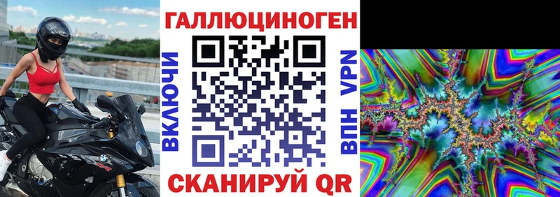 Купить где Сафоново Псилоцибиновые грибы мицелий